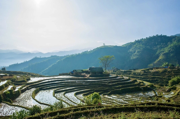 Những thửa ruộng bậc thang mùa nước đổ