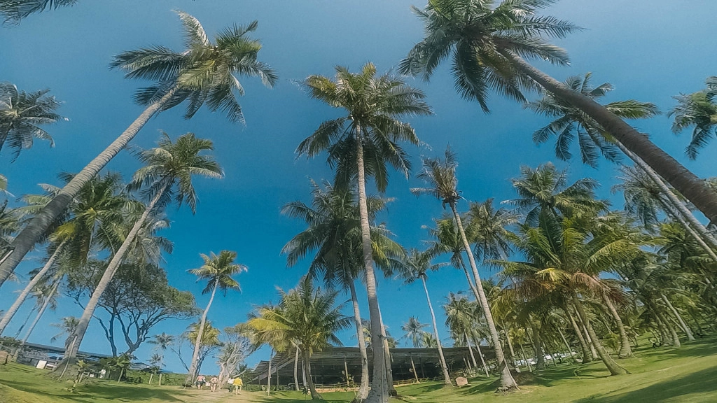 Hòn Thơm có diện tích 5,7 km2, thuộc quần đảo An Thới, nằm ở phía nam đảo Phú Quốc (Kiên Giang). Nơi đây được ví như viên ngọc quý của quần đảo này. Hòn Thơm có diện tích 5,7 km2, thuộc quần đảo An Thới, nằm ở phía nam đảo Phú Quốc (Kiên Giang). Nơi đây được ví như viên ngọc quý của quần đảo này.