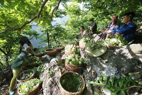 Từ Hà Nội, đường đi tới xứ na Chi Lăng rất thuận tiện, khoảng 100 km. Nếu không đi xe riêng, bạn có thể bắt xe khách, khởi hành từ bến Giáp Bát, Mỹ Đình hoặc Yên Phụ, 30 phút có một chuyến. Thời gian di chuyển khoảng 2,5 tiếng. Bạn nhớ dặn bác tài cho dừng ở chợ na Đồng Bành (cách trung tâm TP Lạng Sơn khoảng 50 km). Từ Hà Nội, đường đi tới xứ na Chi Lăng rất thuận tiện, khoảng 100 km. Nếu không đi xe riêng, bạn có thể bắt xe khách, khởi hành từ bến Giáp Bát, Mỹ Đình hoặc Yên Phụ, 30 phút có một chuyến. Thời gian di chuyển khoảng 2,5 tiếng. Bạn nhớ dặn bác tài cho dừng ở chợ na Đồng Bành (cách trung tâm TP Lạng Sơn khoảng 50 km).