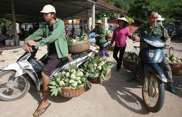 Trước kia cứ đến mùa na, chợ lại họp hai bên mặt đường quốc lộ, gây ảnh hưởng an toàn giao thông. Tuy nhiên, đầu tháng 8, chợ đã được đưa vào quy hoạch giúp người dân và lái buôn thuận tiện thu mua. Trước kia cứ đến mùa na, chợ lại họp hai bên mặt đường quốc lộ, gây ảnh hưởng an toàn giao thông. Tuy nhiên, đầu tháng 8, chợ đã được đưa vào quy hoạch giúp người dân và lái buôn thuận tiện thu mua.