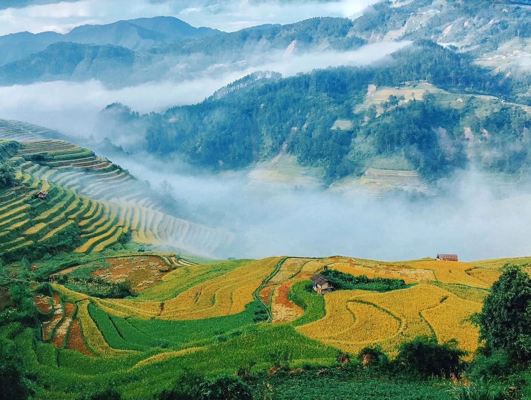 Ảnh: thuongdinh97 Ảnh: thuongdinh97
