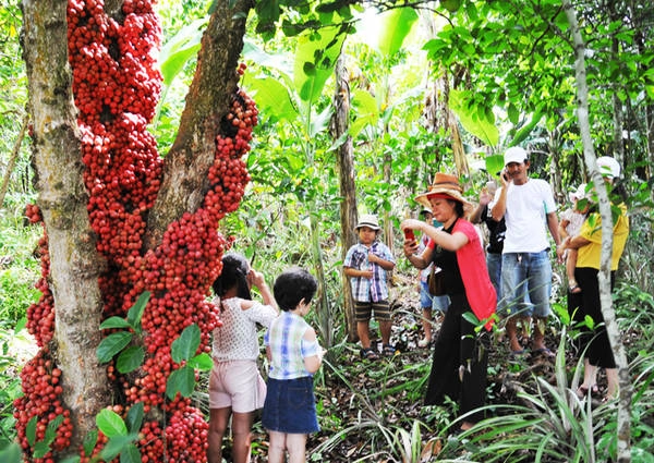 Cả nhà cùng tham qua vườn đỏ. Ảnh: Dương Thanh Xuân