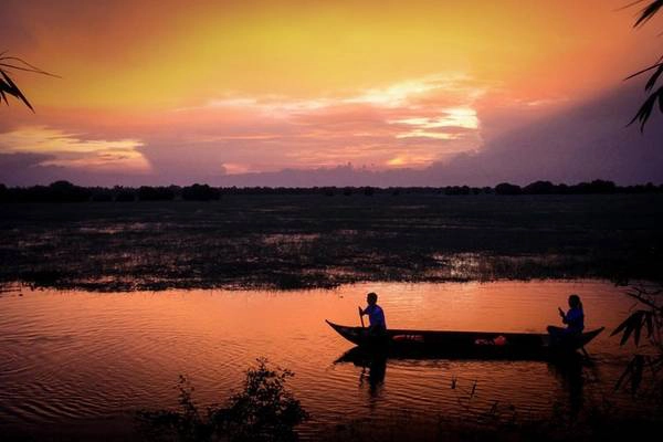 Khung cảnh bình yên ở Tràm Chim trong ánh hoàng hôn. Khung cảnh bình yên ở Tràm Chim trong ánh hoàng hôn.