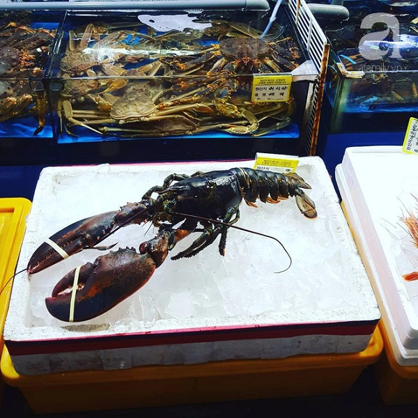 di-seoul-ma-me-hai-san-nhat-dinh-phai-den-cho-norangjin-ivivu-6