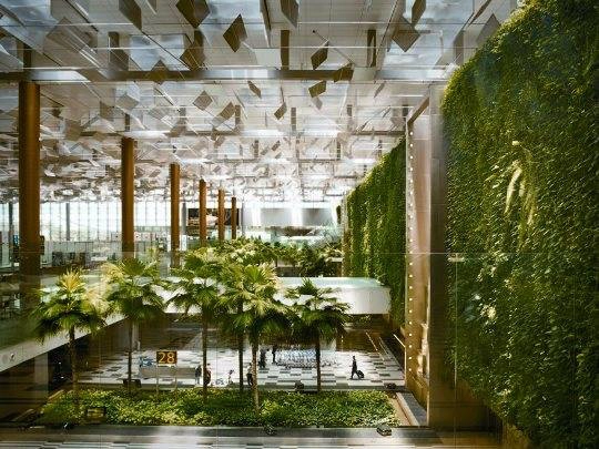 Trong khu vực sân bay có một khu vườn thẳng đứng được gọi là “Green Wall”. Có hơn 20 loại thực vật, dây leo và hoa được trồng trên bức tường đặc biệt này. 