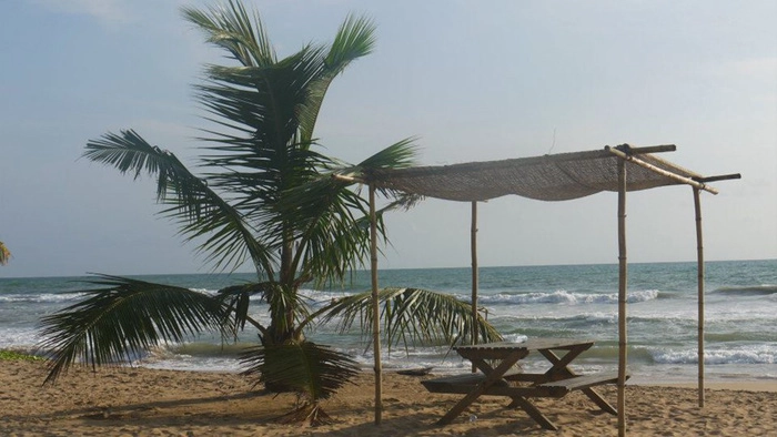 Bãi biển Bentota - nơi thả rùa và chỗ để du khách ngồi tận hưởng hạnh phúc sau khi các bé rùa con bơi đi Bãi biển Bentota - nơi thả rùa và chỗ để du khách ngồi tận hưởng hạnh phúc sau khi các bé rùa con bơi đi
