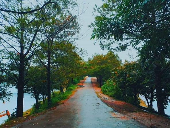 Ảnh:@uwmexctdlt