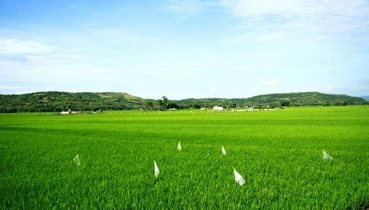 Nếu phong cảnh biển trời chưa thể thỏa mãn mong muốn khám phá của bạn thì cao nguyên Vân Hòa chính là điểm đến tiếp theo khi bạn đặt chân đến Phú Yên. (Ảnh: Internet) di-t Nếu phong cảnh biển trời chưa thể thỏa mãn mong muốn khám phá của bạn thì cao nguyên Vân Hòa chính là điểm đến tiếp theo khi bạn đặt chân đến Phú Yên. (Ảnh: Internet)
