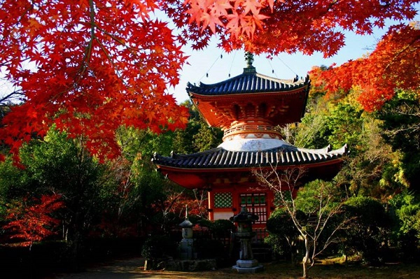Đền Mitaki-dera: Trong số nhiều đền thờ cổ ở Hiroshima, một trong những ngôi đền hấp dẫn nhất là Mitaki-dera. Ngôi đền được xây dựng lần đầu vào năm 809 và được phục dựng lại sau khi bị chiến tranh phá hủy. Nơi đây không chỉ là môt đền thờ linh thiêng, nổi tiếng với kiến trúc độc đáo và màu sơn đỏ đặc trưng mà còn là điểm đến hấp dẫn du khách trong mùa thu, khi lá cây chuyển màu. Ảnh: Japantimes.