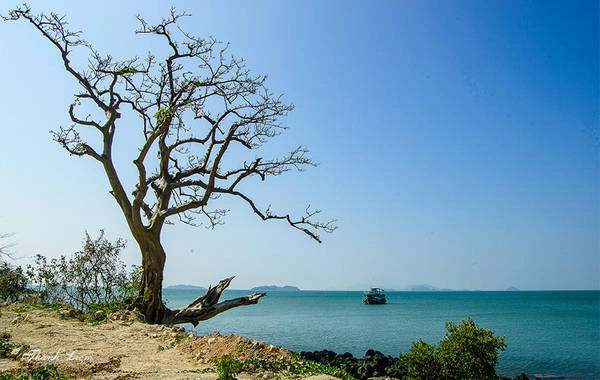 Điều thú vị là du khách cùng ăn, cùng ở và cùng chơi tại nhà dân. Đêm xuống, hòa cùng làn gió mát xào xạc từ biển, du khách có thể đốt lửa trại, vui chơi thỏa thích. Các bạn trẻ thích trải nghiệm, khám phá có thể mang theo lều hoặc ngủ ngay tại nhà dân về đêm mà không sợ bị muỗi đốt.