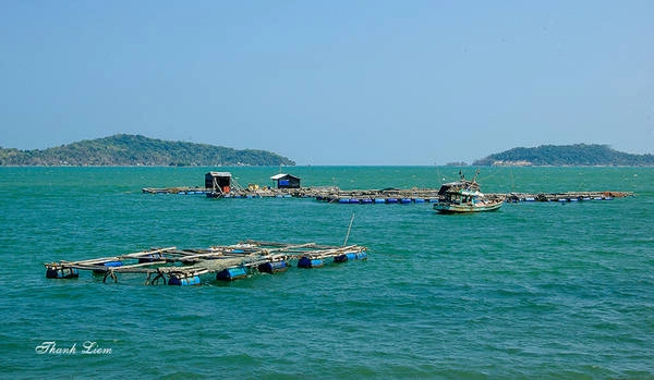 Cũng giống như đảo Nam Du, thông thường người nước ngoài không được phép ra quần đảo Hải Tặc. Lưu ý, vào những ngày biển động sẽ không có tàu ra đảo. Nếu lỡ chuyến tàu cao tốc, bạn có thể đi tàu thường. Vừa ngồi trên tàu vừa ngắm cảnh và tranh thủ ghi lại những nét sinh hoạt của ngư dân trên biển cũng là một trải nghiệm thật thú vị.