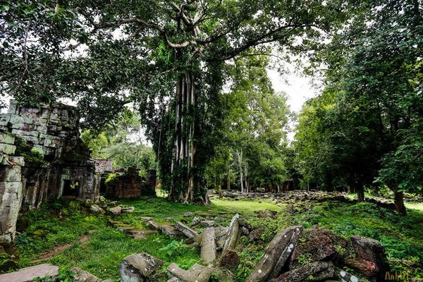 Đền Preah Khan còn có tên gọi là Jayasri (hai tên gọi này đều có ý nghĩa là "Gươm Thánh"), là một trong những ngôi đền vĩ đại của Angkor. Đền Preah Khan còn có tên gọi là Jayasri (hai tên gọi này đều có ý nghĩa là "Gươm Thánh"), là một trong những ngôi đền vĩ đại của Angkor.