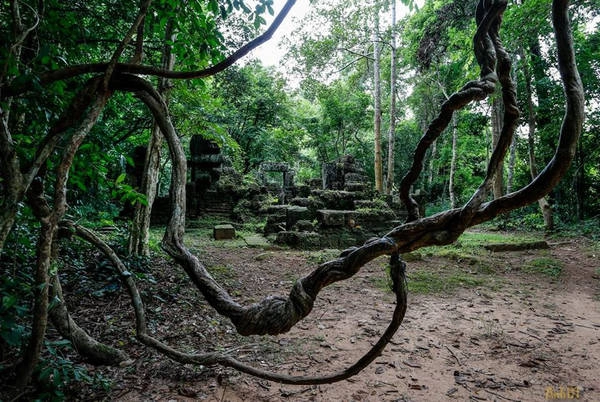Đến Banteay Kdei, bạn sẽ cảm nhận được sự huyền bí, cổ kính tạo nên một cảm giác thú vị và lạ lùng. Đến Banteay Kdei, bạn sẽ cảm nhận được sự huyền bí, cổ kính tạo nên một cảm giác thú vị và lạ lùng.