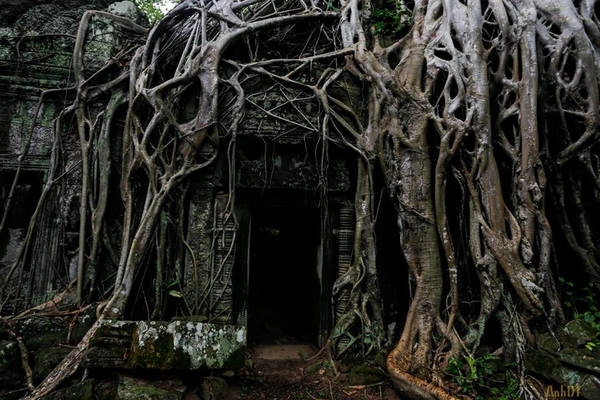 Đến nay, ngôi đền đã đổ nát rất nhiều, nhưng sự điêu tàn của kiến trúc, vẻ rêu phong và những rễ cây khổng lồ dường như càng làm tăng thêm không khí mê hoặc và vẻ đẹp ma mị cho không gian của ngôi đền. Đến nay, ngôi đền đã đổ nát rất nhiều, nhưng sự điêu tàn của kiến trúc, vẻ rêu phong và những rễ cây khổng lồ dường như càng làm tăng thêm không khí mê hoặc và vẻ đẹp ma mị cho không gian của ngôi đền.