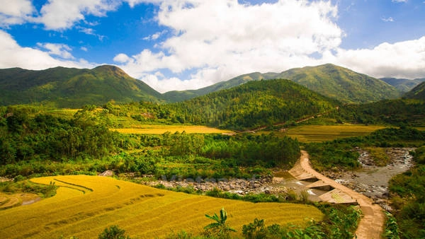 Ảnh: Minh Sơn/Vietnam+ Ảnh: Minh Sơn/Vietnam+