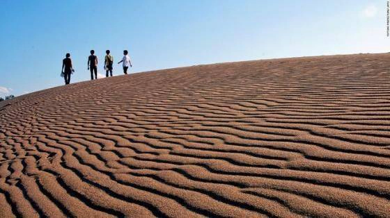 Tottori-sakyu là đồi cát lớn nhất Nhật Bản với chiều dài 16 km, rộng 2 km. Những đụn cát ở đây là sự pha trộn giữa cát và tro núi lửa trong gần 100.000 năm, sau đó được hình thành nhờ những cơn gió biển. Du khách đến tham quan có thể trải nghiệm cưỡi lạc đà hoặc chơi trượt cát. diem-den-tua-thien-duong-o-nhat-ban-ivivu-5