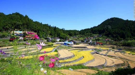 Không chỉ sở hữu hàng trăm thửa ruộng bậc thang tuyệt đẹp, thị trấn Ini Tanada ở Hiroshima còn nổi tiếng bởi những hạt gạo thơm ngon. Nơi đây còn thường xuyên tổ chức các sự kiện liên quan đến trồng lúa, thu hút rất đông du khách. diem-den-tua-thien-duong-o-nhat-ban-ivivu-8
