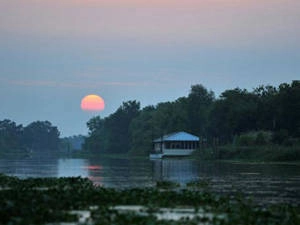 Du lịch Louisianam, Mỹ - bối cảnh phim dự Oscar - iVIVU.com