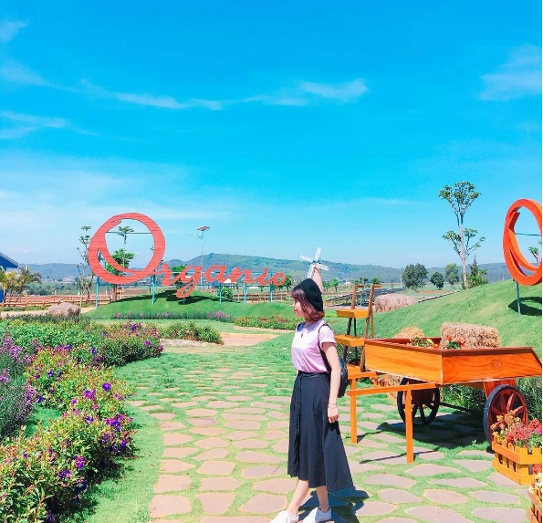 Ảnh: @thuytrangsr31 Ảnh: @thuytrangsr31