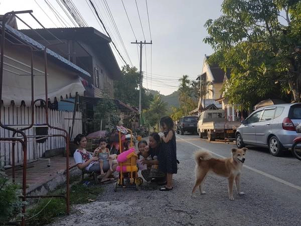 dieu-can-biet-khi-den-thanh-pho-di-san-luang-prabang-ivivu-11