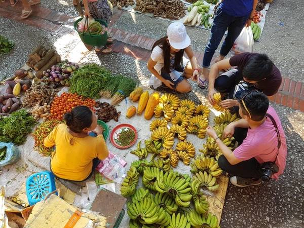 dieu-can-biet-khi-den-thanh-pho-di-san-luang-prabang-ivivu-4