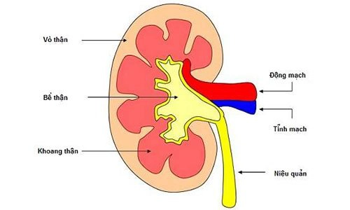 Điều trị viêm cầu thận cấp ở trẻ em