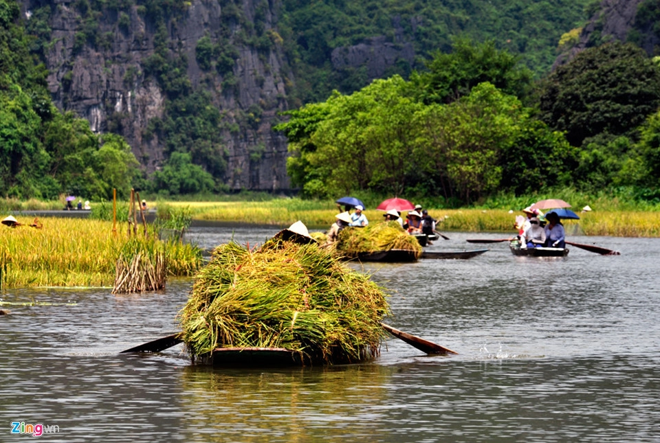 Ninh Bình cách thủ đô Hà Nội 93 km về phía Nam. Bạn có thể đến đây bằng tàu thống nhất Bắc - Nam hay xe khách từ tất cả các tỉnh thành trong cả nước. Đến nơi bạn bắt xe ôm, taxi hay thuê xe máy khám phá Ninh Bình. Du khách có thể đi lại trong ngày hoặc nghỉ tại đây một đêm. Ảnh: Mạnh Thắng