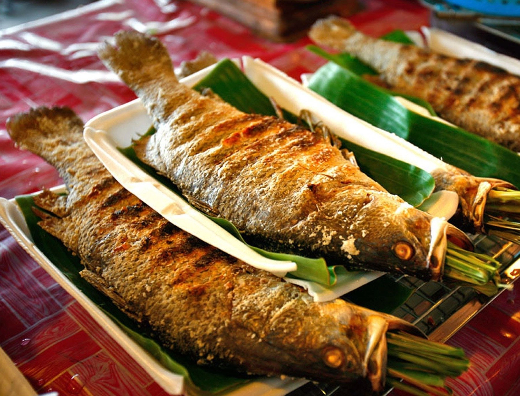 đồ nướng ngon