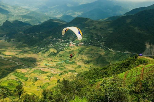 Một nữ du khách chụp hình giữa rừng hoa đỗ quyên nở bạt ngàn ở công viên Nagushiyama, tại Sasebo, tỉnh Nagasaki, tây nam Nhật Bản. Ở công viên này có tới 100.000 cây đỗ quyên nở rộ vào tháng 4 năm nay. Ảnh: AP. Một nữ du khách chụp hình giữa rừng hoa đỗ quyên nở bạt ngàn ở công viên Nagushiyama, tại Sasebo, tỉnh Nagasaki, tây nam Nhật Bản. Ở công viên này có tới 100.000 cây đỗ quyên nở rộ vào tháng 4 năm nay. Ảnh: AP.