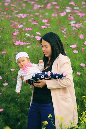 Đổ xô chụp ảnh tại thung lũng hoa Hồ Tây