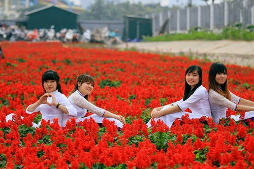 Nhóm bạn trẻ chọn trang phục áo dài tạo dáng chụp ảnh. Nhóm bạn trẻ chọn trang phục áo dài tạo dáng chụp ảnh.