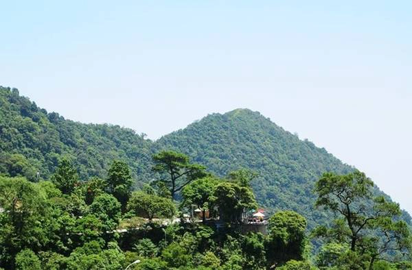 Nằm trên cao độ gần 1.000m so với mặt nước biển, Tam Đảo được coi là điểm nghỉ dưỡng tuyệt vời, thiên nhiên 4 mùa trong ngày, với khí hậu trong lành và mát mẻ. Do-xo-len-rung-tron-nong-ngam-hoang-hon-ivivu-1