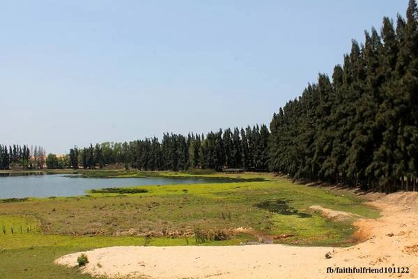 Cách Phan Thiết khoảng 65 km về hướng đông bắc, Bàu Trắng thuộc địa phận thôn Hồng Lâm, xã Hòa Thắng, huyện Bắc Bình. Du khách có thể đến với Bàu Trắng bằng hai cung đường: Từ Hòn Rơm, đi xe Jeep men theo đường đến Mũi Né, qua chợ Mũi Né, Đồi Hồng thì chạy dọc bãi biển khoảng một tiếng là vào tới Bàu Trắng. Cách khác là từ thành phố Phan Thiết theo quốc lộ 1A đến Lương Sơn, rẽ phải ở ngã ba, đi chừng 18 km, băng qua đồi trọc, rừng dừa một lúc là đến nơi.