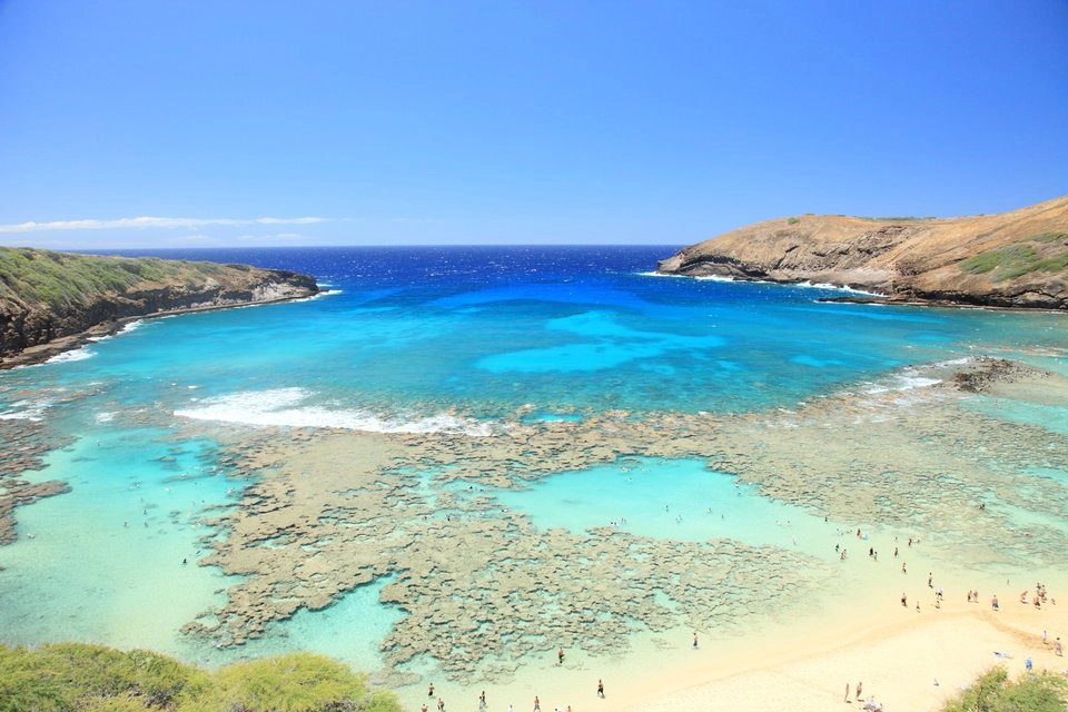 9. Vịnh Hanauma (Hawaii): Hanauma nổi tiếng trên toàn thế giới bởi là một thiên đường dành cho những người yêu thích bơi lặn với làn nước trong xanh, ít sóng, phong cảnh dưới nước rất ngoạn mục cùng sự phong phú của những sinh vật biển tại đây. 9. Vịnh Hanauma (Hawaii): Hanauma nổi tiếng trên toàn thế giới bởi là một thiên đường dành cho những người yêu thích bơi lặn với làn nước trong xanh, ít sóng, phong cảnh dưới nước rất ngoạn mục cùng sự phong phú của những sinh vật biển tại đây.