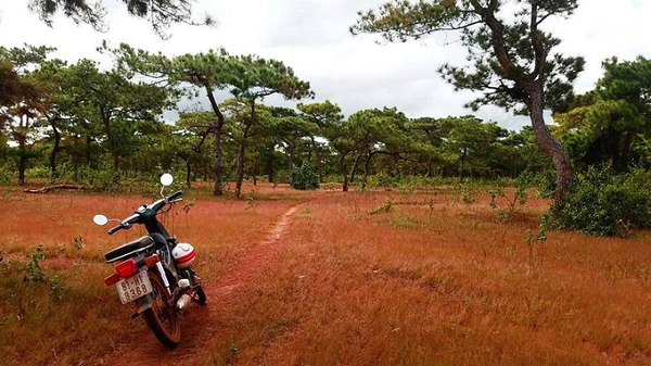 Dù không phải là điểm đến du lịch nổi tiếng, Gia Lai vẫn có “đặc sản” níu chân du khách. Khi đến với phố núi này bạn đừng quên thử món bò khô muối kiến, gà nướng cơm lam hay bò núi nướng que. Ảnh: Instagram. Dù không phải là điểm đến du lịch nổi tiếng, Gia Lai vẫn có “đặc sản” níu chân du khách. Khi đến với phố núi này bạn đừng quên thử món bò khô muối kiến, gà nướng cơm lam hay bò núi nướng que. Ảnh: Instagram.