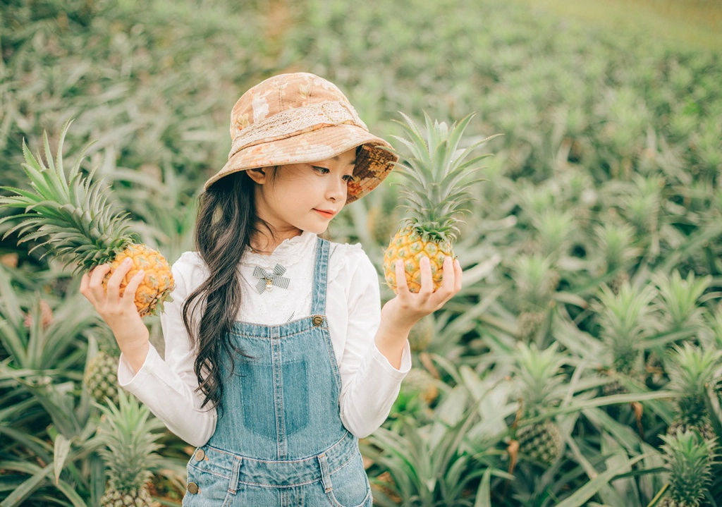 Dưới ánh nắng trải thảm vàng rực rỡ đầu hè, những trái dứa càng thêm phần tươi sáng, óng ả, tỏa hương thơm ngát. Thiên nhiên, cảnh vật nơi đồng quê càng thêm yên bình dưới bầu trời trong xanh.