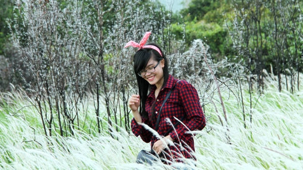 Đám cây khô trơ trọi chẳng còn lá nhưng là bối cảnh chụp hình cực đẹp - Ảnh: XUÂN LỘC