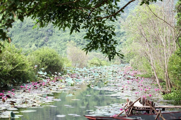 Một góc lãng mạn và bình yên - Ảnh: Thái Anh