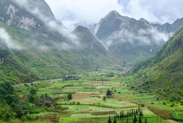 Trên hành trình khám phá miền cao nguyên đá, du khách sẽ được thấy những thung lũng trồng hoa tam giác mạch, xen các bản làng thấp thoáng trong mây mờ, ngay bên con đường Hạnh Phúc. Trên hành trình khám phá miền cao nguyên đá, du khách sẽ được thấy những thung lũng trồng hoa tam giác mạch, xen các bản làng thấp thoáng trong mây mờ, ngay bên con đường Hạnh Phúc.