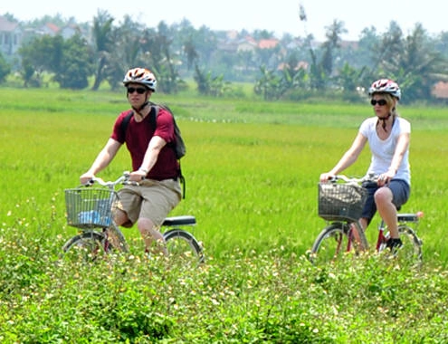 Du khách ngoại say mê đồng lúa Việt Nam