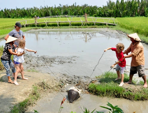 Du khách ngoại say mê đồng lúa Việt Nam