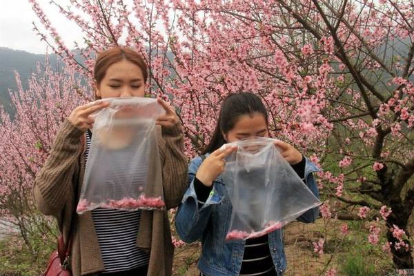 Đây không phải trường hợp duy nhất không khí trong lành trở thành sản phẩm. Một nhóm người Canada đã kinh doanh không khí núi vùng Alberta đóng lon từ năm 2014, với giá 400 nhân dân tệ một lon. Đây không phải trường hợp duy nhất không khí trong lành trở thành sản phẩm. Một nhóm người Canada đã kinh doanh không khí núi vùng Alberta đóng lon từ năm 2014, với giá 400 nhân dân tệ một lon.