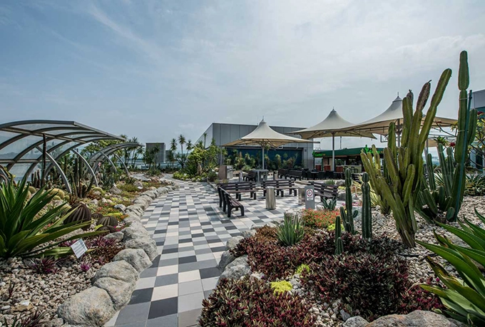 Sự yêu mến của khách hàng không chỉ đến từ sự bình chọn. Nhiều người ví rằng kỳ nghỉ của họ như được nối dài khi tới đây bởi lẽ giống như tới công viên Disney vậy. Bạn sẽ khó tin khu vườn hướng dương rực rỡ ngập tràn lối đi này nằm trên sân thượng của phi trường, nơi bạn có những kiểu ảnh sống ảo ngay phía dưới những chiếc máy bay đang cất hay hạ cánh. Sự yêu mến của khách hàng không chỉ đến từ sự bình chọn. Nhiều người ví rằng kỳ nghỉ của họ như được nối dài khi tới đây bởi lẽ giống như tới công viên Disney vậy. Bạn sẽ khó tin khu vườn hướng dương rực rỡ ngập tràn lối đi này nằm trên sân thượng của phi trường, nơi bạn có những kiểu ảnh sống ảo ngay phía dưới những chiếc máy bay đang cất hay hạ cánh.