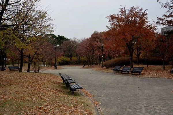 Seoul còn có nhiều điểm dừng chân từ những khu mua sắm nhộn nhịp như Myeong-dong hay Gangnam. Ngoài ra bạn có thể đến đảo Nami, nơi cách hơn một giờ tàu chạy. Đây cũng là nơi được chọn làm bối cảnh cho bộ phim nổi tiếng châu Á như Bản tình ca mùa đông. Seoul còn có nhiều điểm dừng chân từ những khu mua sắm nhộn nhịp như Myeong-dong hay Gangnam. Ngoài ra bạn có thể đến đảo Nami, nơi cách hơn một giờ tàu chạy. Đây cũng là nơi được chọn làm bối cảnh cho bộ phim nổi tiếng châu Á như Bản tình ca mùa đông.