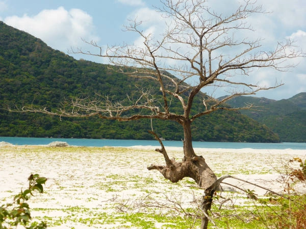 Vẻ đẹp của Côn Đảo có thể nói là hoàn hảo, bởi nơi đây may mắn hội tụ được tất cả những gì tốt nhất cần có của một bãi biển đẹp. Ảnh: Paul Arps