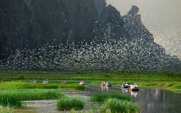 Khu bảo tồn thiên nhiên ngập nước Vân Long. Ảnh: Wiki