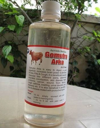 Gomutra: Người theo đạo Hindu coi bò và mọi sản phẩm từ loài vật này là linh thiêng. Gomutra là nước tiểu bò được nhiều người uống trong các nghi lễ hay như một loại thuốc chữa bệnh. Ảnh: Ifood.