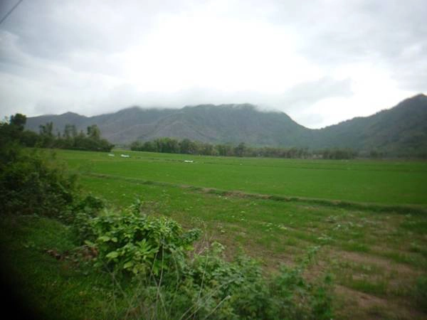 Núi cách trung tâm thị trấn Ba Chúc khoảng chừng 3km về phía Tây, đi trở ra hướng Tri Tôn, có những hàng trúc màu vàng trông rất đẹp mắt được trồng theo ven đường vào núi. Núi cách trung tâm thị trấn Ba Chúc khoảng chừng 3km về phía Tây, đi trở ra hướng Tri Tôn, có những hàng trúc màu vàng trông rất đẹp mắt được trồng theo ven đường vào núi.