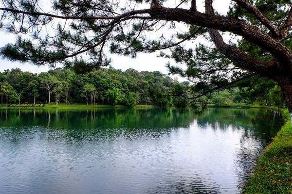 Khu du lịch thác Dambri là điểm dừng chân cuối cùng trong ngày của chúng tôi, trung tâm của khu du lịch là một hồ nước tuyệt đẹp với cây cối bao xung quanh rất thơ mộng và mát mẻ. Trên hồ có các dịch vụ như đạp vịt, chèo thuyền… Khu du lịch thác Dambri là điểm dừng chân cuối cùng trong ngày của chúng tôi, trung tâm của khu du lịch là một hồ nước tuyệt đẹp với cây cối bao xung quanh rất thơ mộng và mát mẻ. Trên hồ có các dịch vụ như đạp vịt, chèo thuyền…