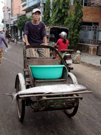 Cá từ chợ cá Hàm Tử được vận chuyển đi các nơi tiêu thụ